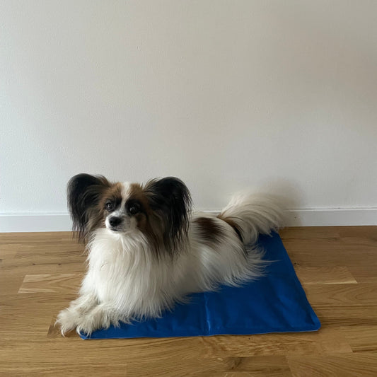Self Cooling Pet Mat